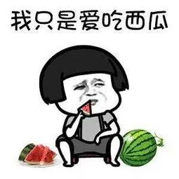 娱乐圈吃瓜有多累,揭秘幕后真相，揭秘明星生活，轻松解锁娱乐圈秘密