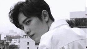 肖战事件娱乐圈吃瓜,肖战事件引发的吃瓜热潮