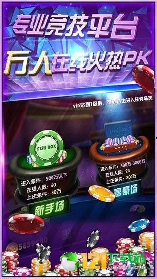 野猪娱乐公司,打造多元化娱乐生态，引领行业新潮流