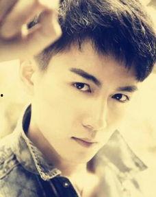 陈晓 照片,光影中的魅力演绎